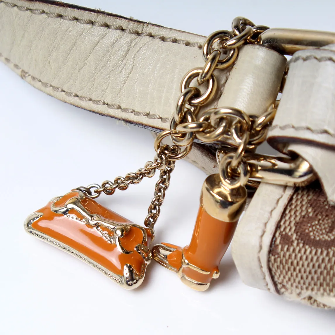 114338 GG Canvas Sherry Messenger