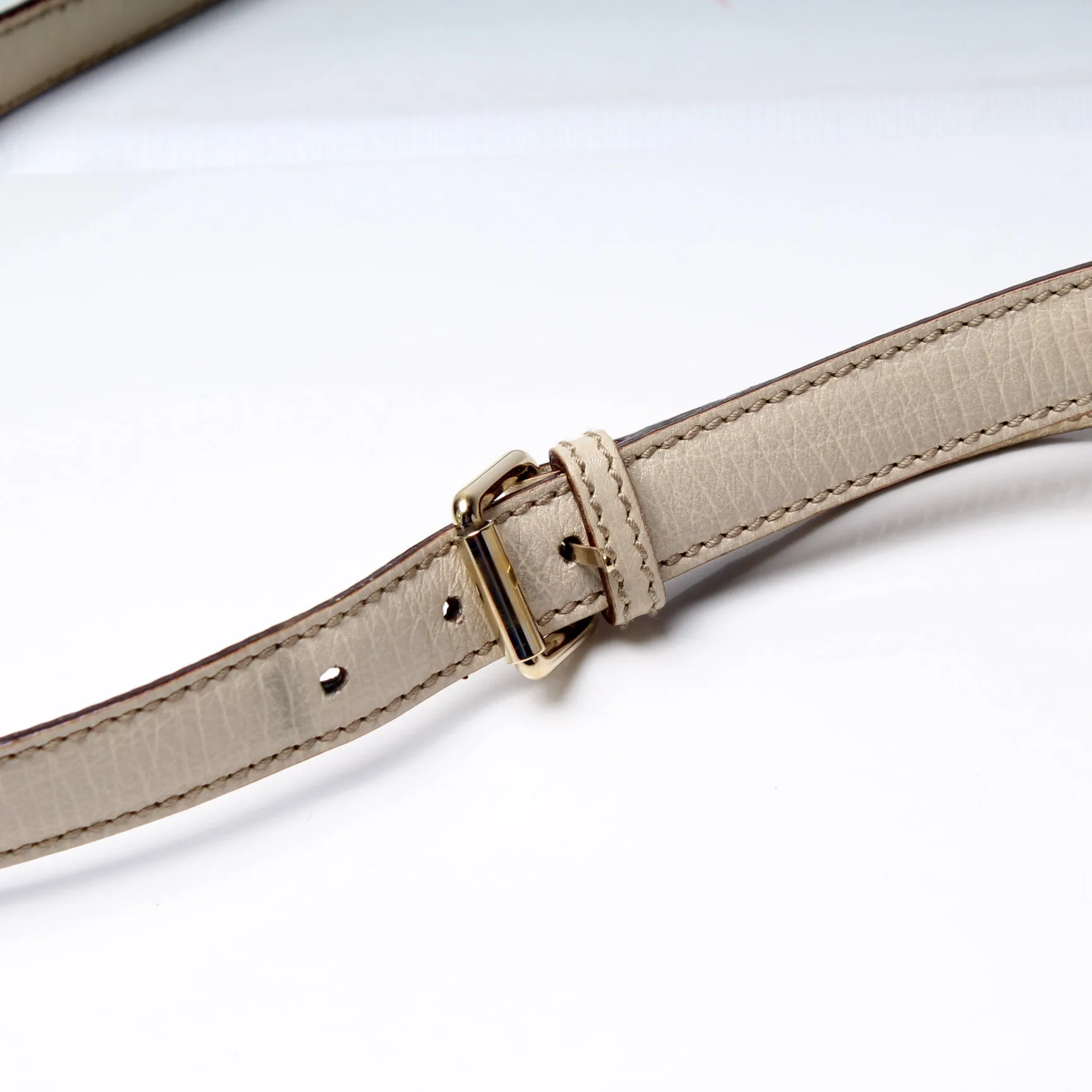 114338 GG Canvas Sherry Messenger